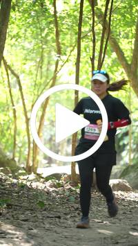 BIB:  <button type="button" onclick="openModal(28106106)" class="btn btn-primary btn-sm float-right" data-toggle="modal" data-target=".modal-high-quality">
                <i class="fa fa-download"></i> Download
                </button>